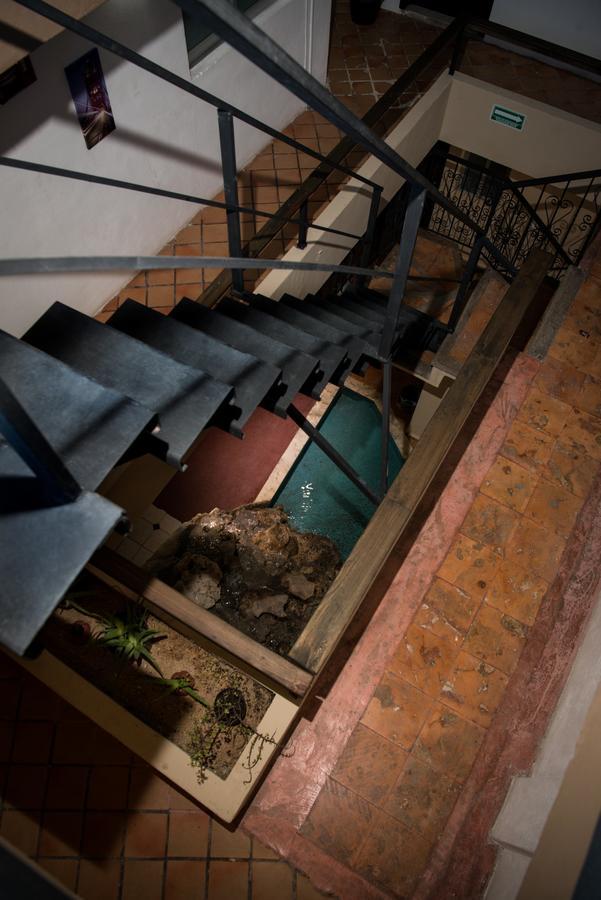Deja Hostel Playa del Carmen Exteriör bild